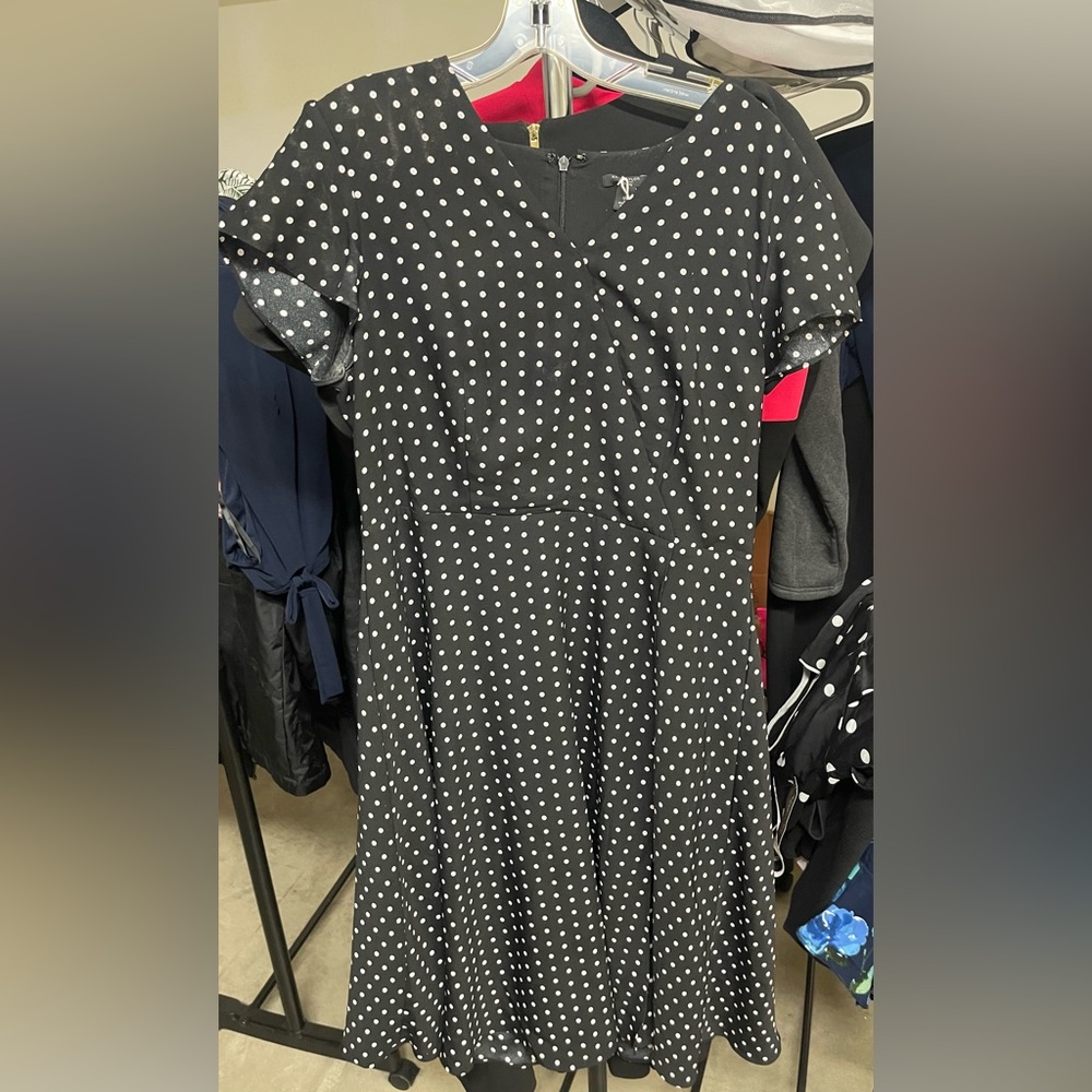 Beautiful Pok a dot Ann Taylor dress A line style